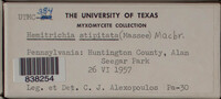 Image Associated With the Occurence